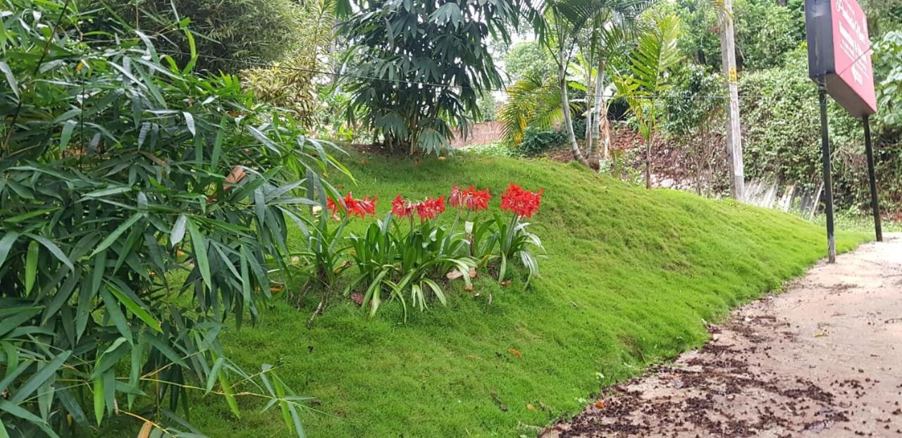 ויטירי Wayanad Doubletree Villa מראה חיצוני תמונה