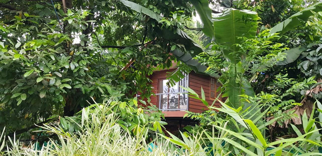 ויטירי Wayanad Doubletree Villa מראה חיצוני תמונה
