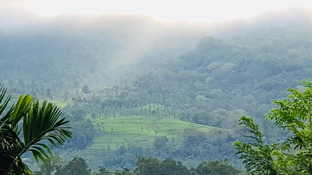 ויטירי Wayanad Doubletree Villa מראה חיצוני תמונה