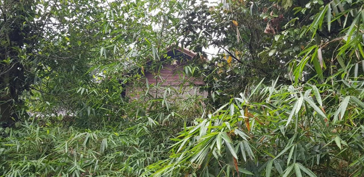 ויטירי Wayanad Doubletree Villa מראה חיצוני תמונה