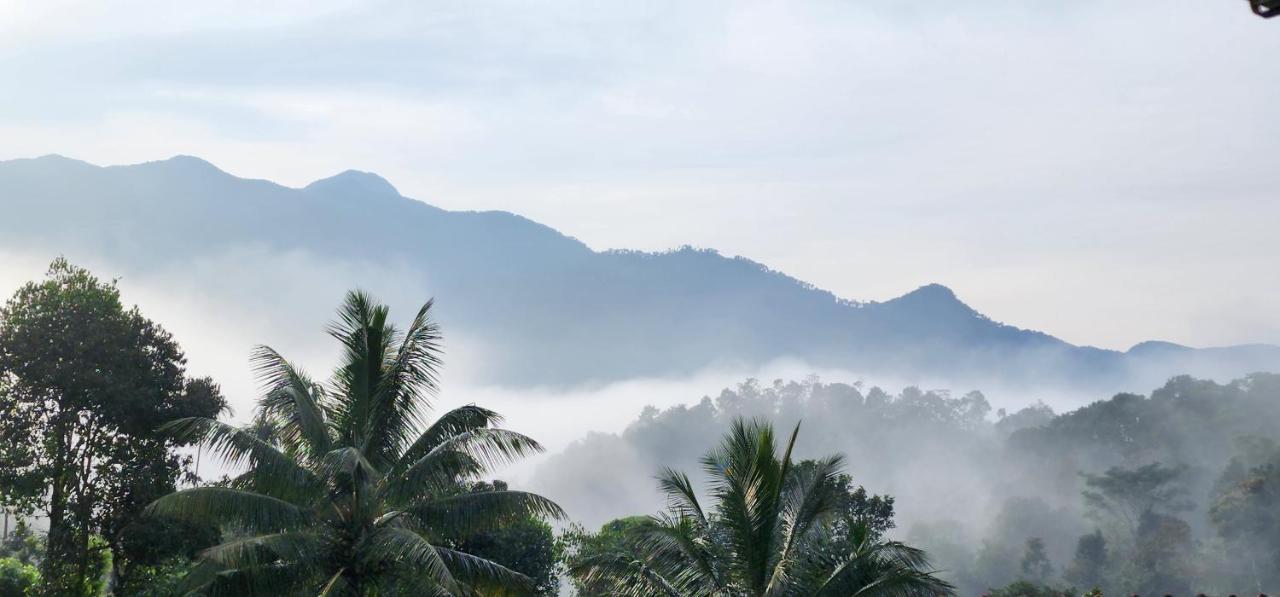 ויטירי Wayanad Doubletree Villa מראה חיצוני תמונה